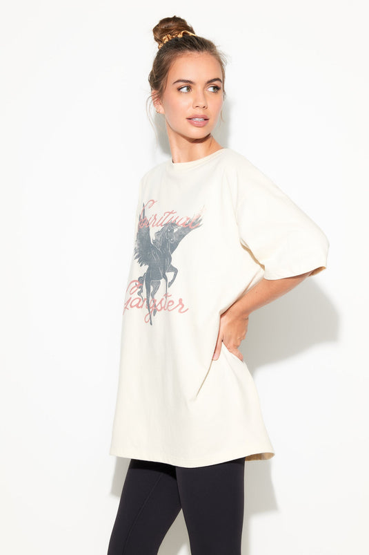 Pegasus Boyfriend Tee